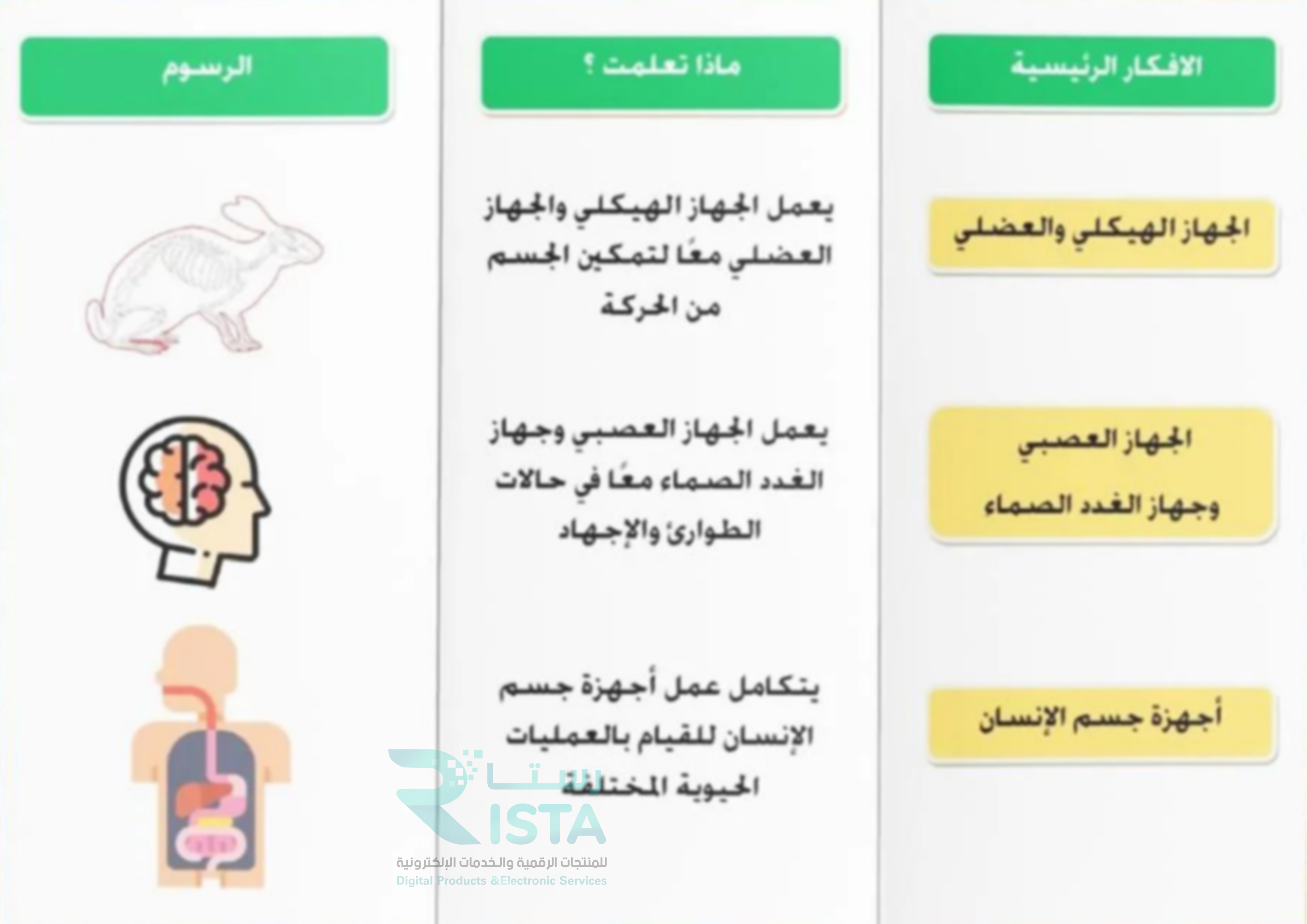 مطوية الجهاز الهيكلي والعضلي والعصبي علوم الصف السادس الإبتدائي