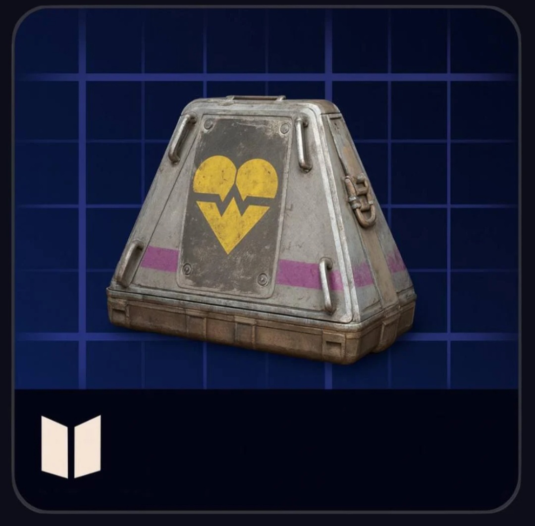 Looting mk 3 survivor