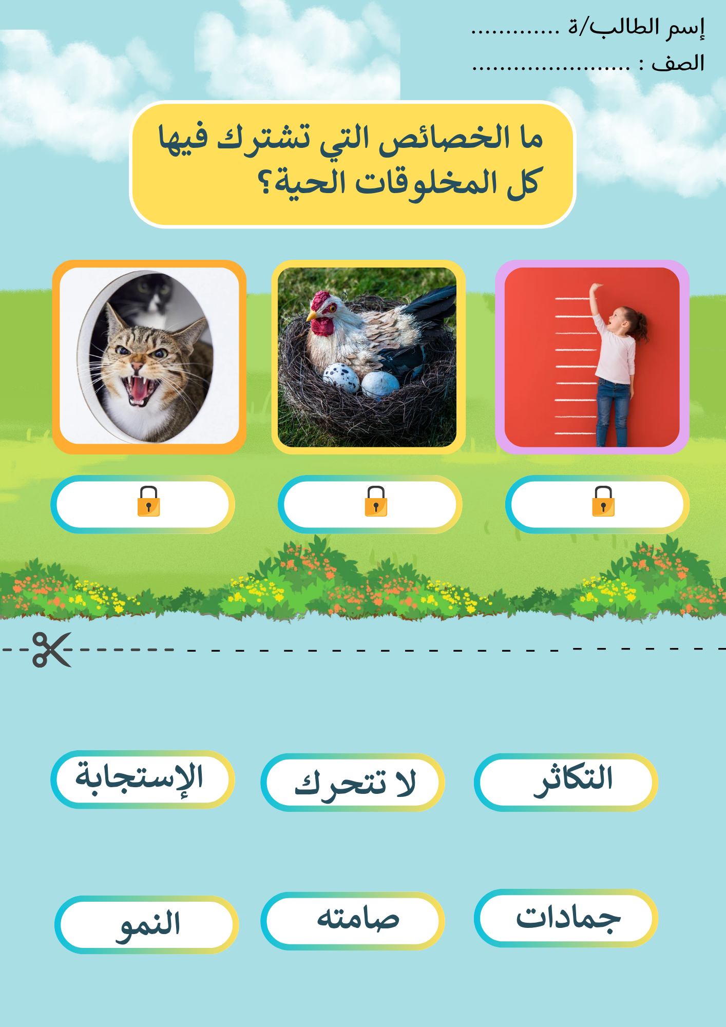 أوراق عمل درس ( المخلوقات الحية ) علوم ثالث إبتدائي pdf