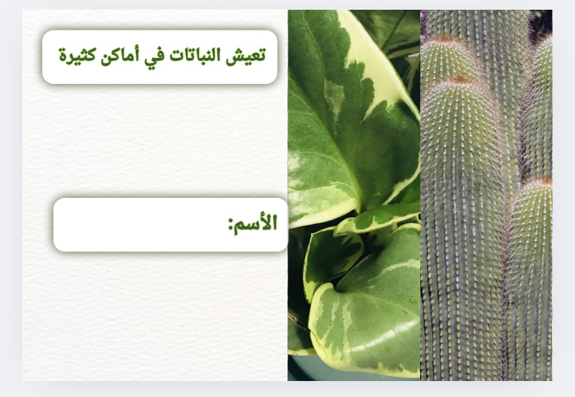 مطوية تعيش النباتات في أماكن كثيرة علوم الصف الاول الفصل الدراسي الاول