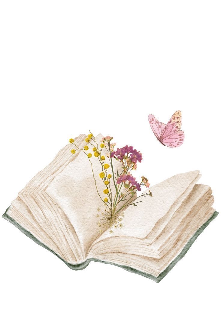 رسالة من القرآن