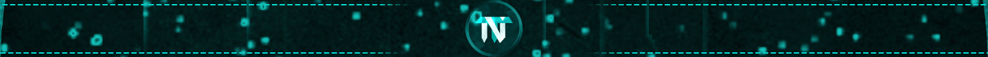 Store Banner
