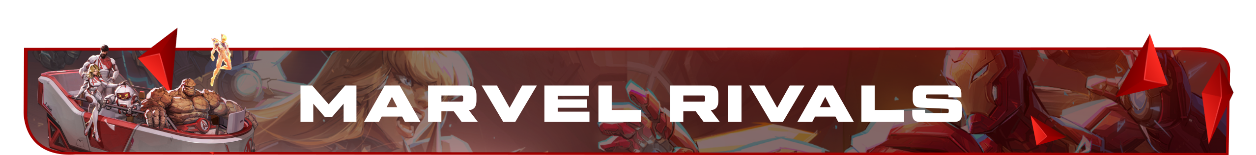 Store Banner