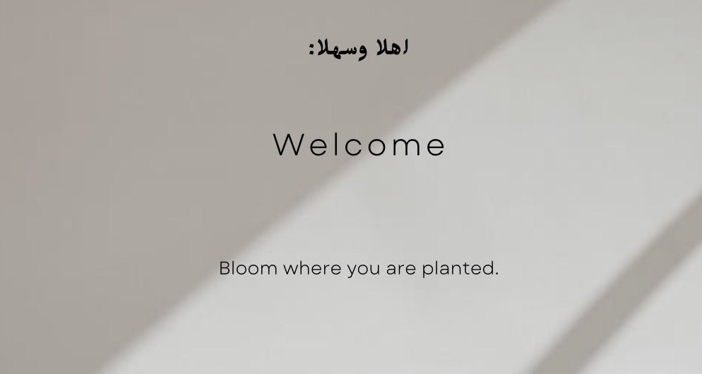 Store Banner