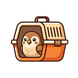 تصفح قسم الطيور