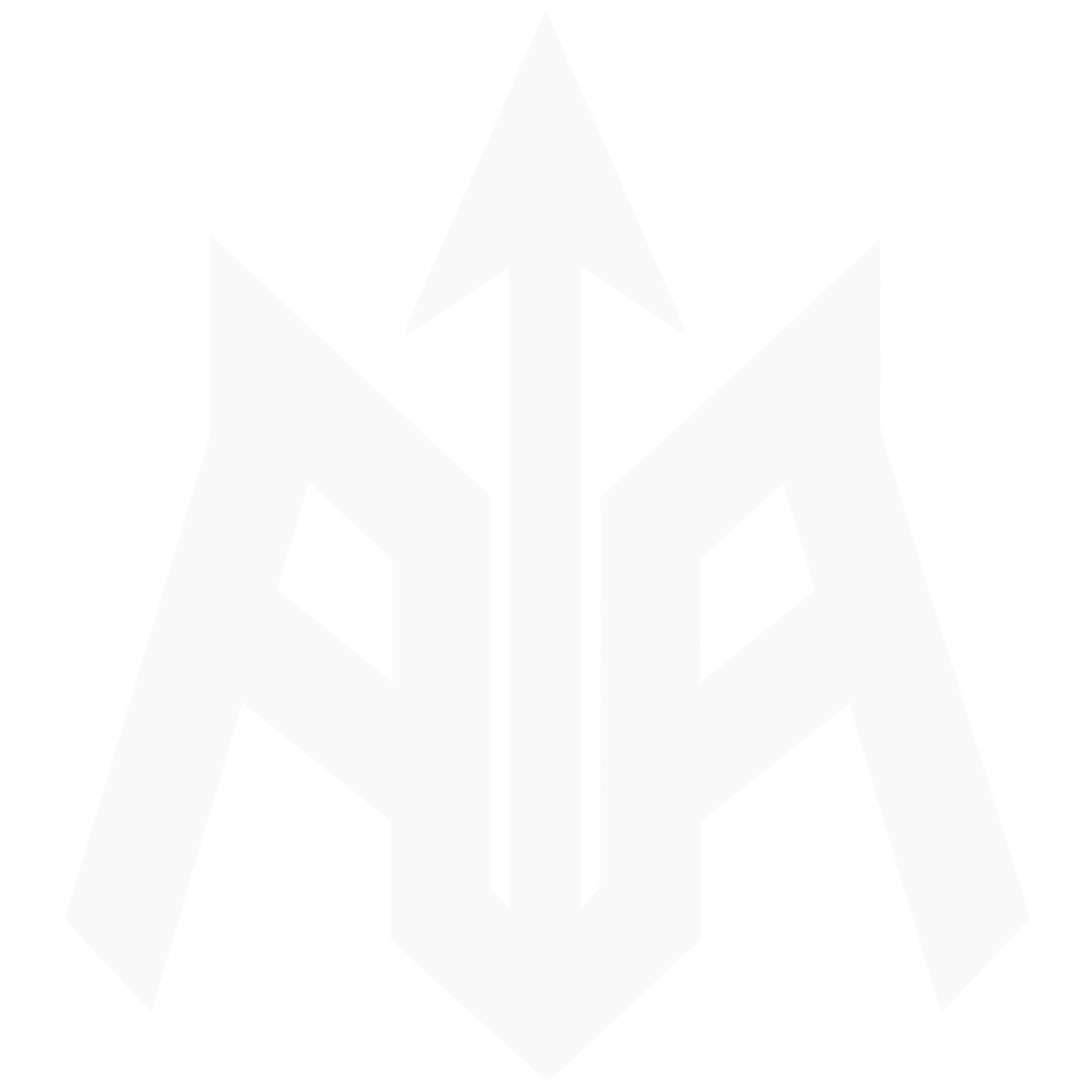 Arena Store